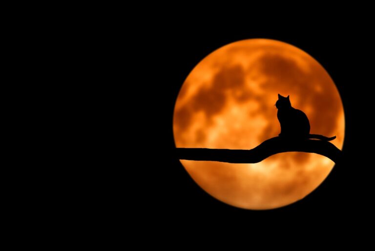 4 MIND BLOWING FACTS ABOUT HALLOWEEN
