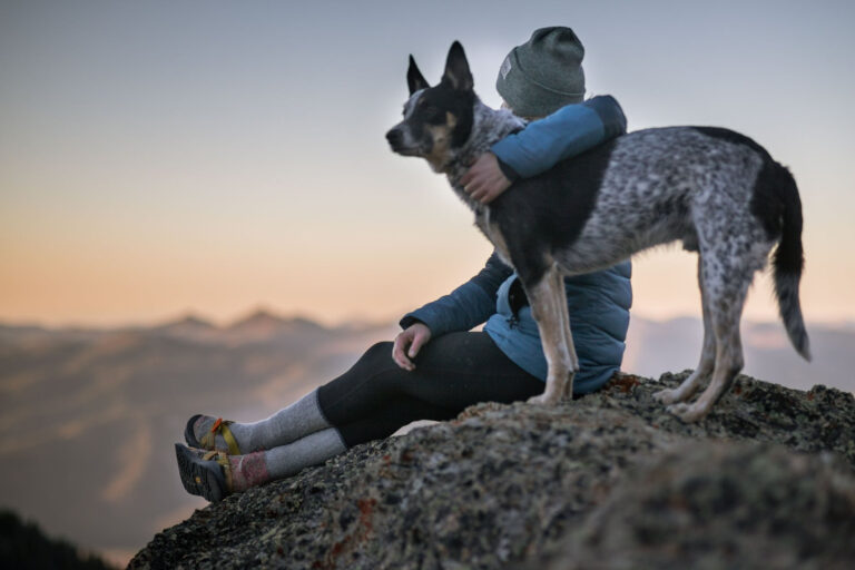 Have a pet? Back in lock down…10 ultra important energetic things to know.